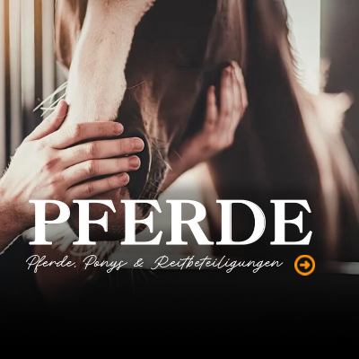 Pferde