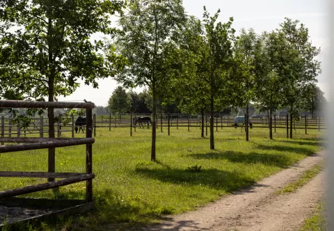 AUSSENANLAGE