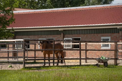 PADDOCKS